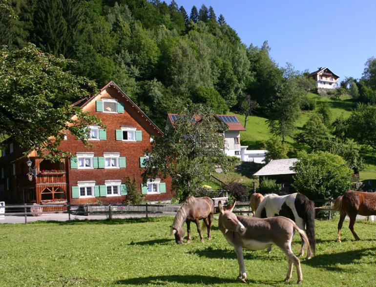 Hotel Gasthaus Schaefle Bürserberg Екстериор снимка
