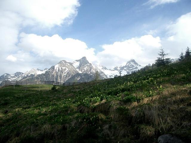 Hotel Gasthaus Schaefle Bürserberg Екстериор снимка